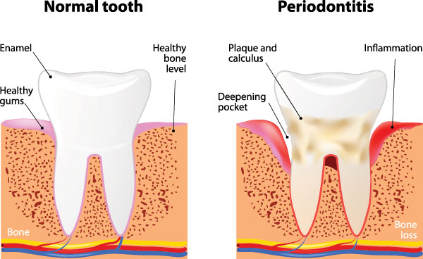 Clara M. Hyun, DMD | All-on-4 reg , Preventative Program and Pediatric Dentistry